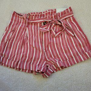 Super Comfortable American Eagle High Rise Shorts